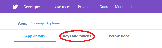 Keys and Tokens Button