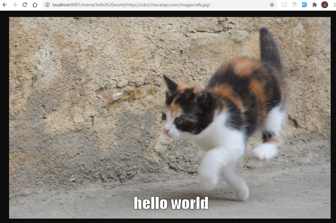 hello world on a kitten
